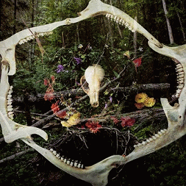 Crown Of Asteria : Seasonal Remnants